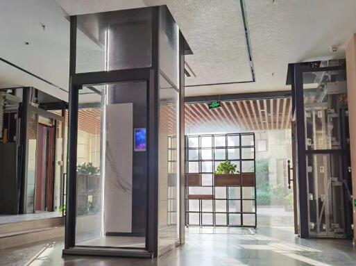 成都別墅電梯 體驗尊崇之境，成都別墅電梯引領(lǐng)奢華生活